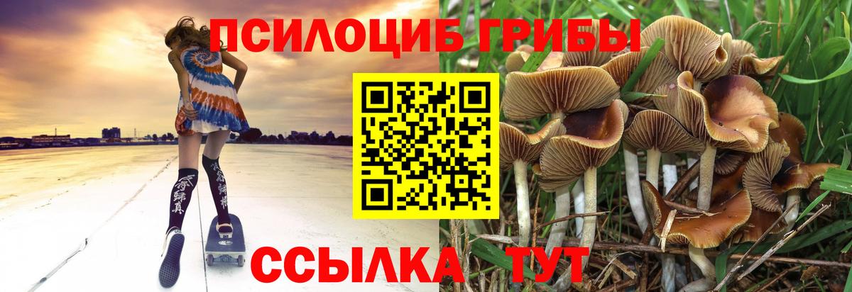 Галлюциногенные грибы Magic Shrooms Белово
