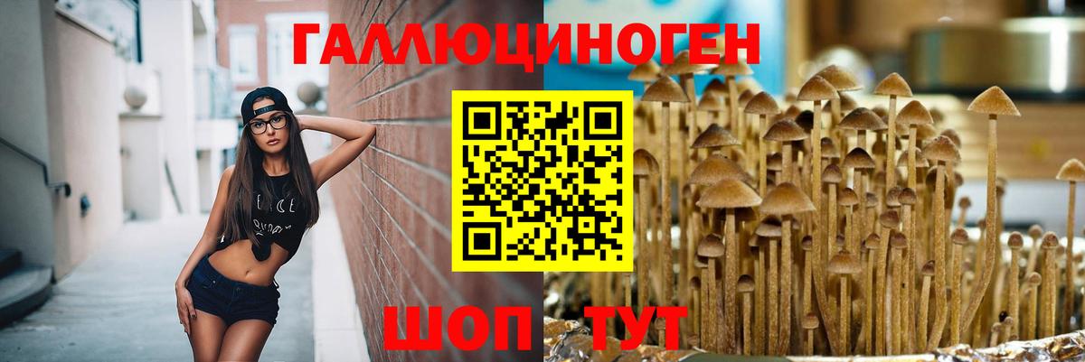 Галлюциногенные грибы Psilocybe  Вход с VPN  Белово 